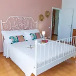 Leccino Primo Piano By Yohome