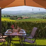 Leccino Primo Piano By Yohome *