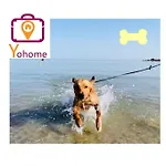 Апартаменты Leccino Primo Piano By Yohome *