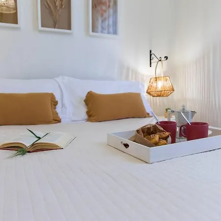 Leccino Primo Piano By Yohome Fiorenzuola di Focara