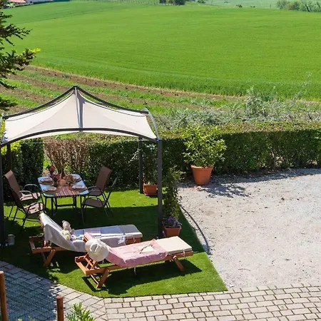 Leccino Primo Piano By Yohome * Fiorenzuola di Focara