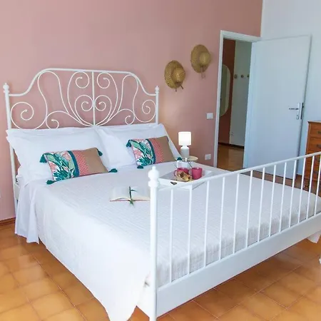 Leccino Primo Piano By Yohome