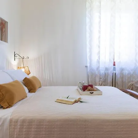 Leccino Primo Piano By Yohome Fiorenzuola di Focara