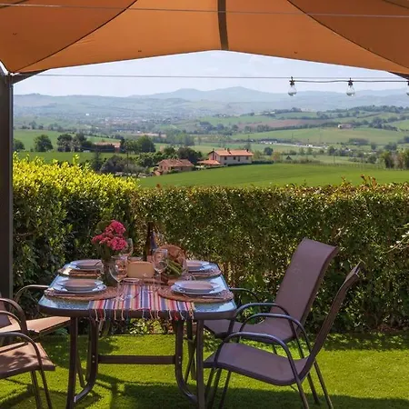 Leccino Primo Piano By Yohome *