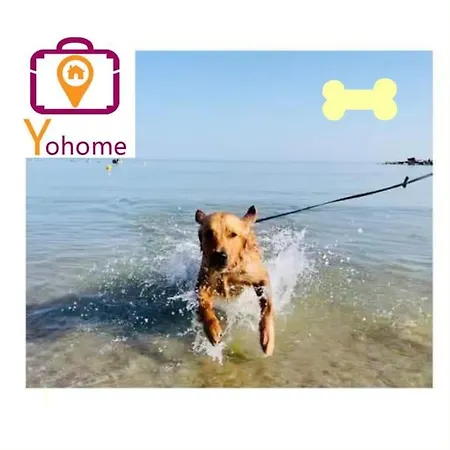 アパート Leccino Primo Piano By Yohome *