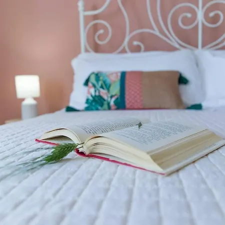 Leccino Primo Piano By Yohome *