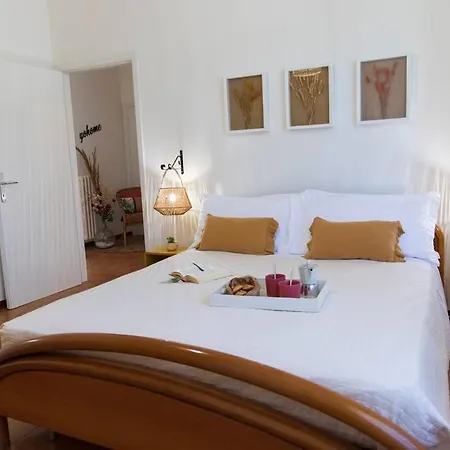 Leccino Primo Piano By Yohome * Fiorenzuola di Focara