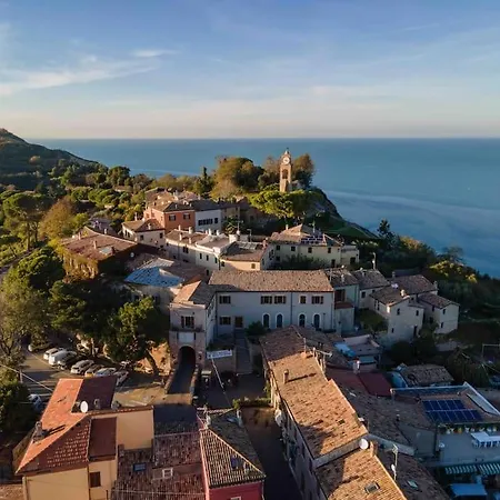 Leccino Primo Piano By Yohome * Fiorenzuola di Focara