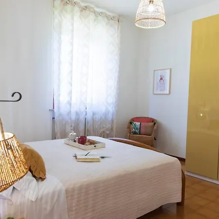 Leccino Primo Piano By Yohome * Fiorenzuola di Focara