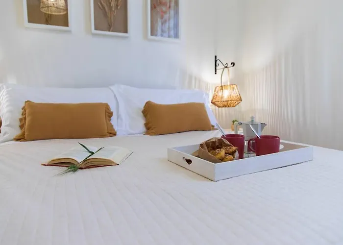 Leccino Primo Piano By Yohome Fiorenzuola di Focara