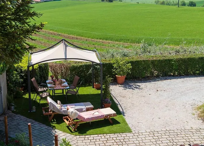 Leccino Primo Piano By Yohome * Fiorenzuola di Focara