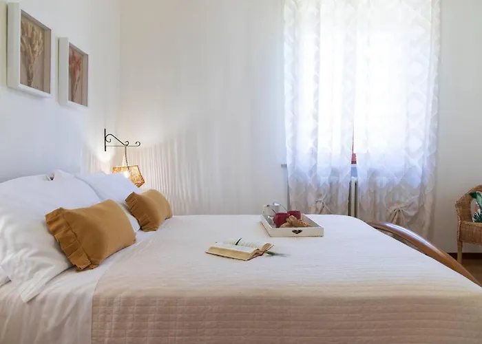 Leccino Primo Piano By Yohome Fiorenzuola di Focara