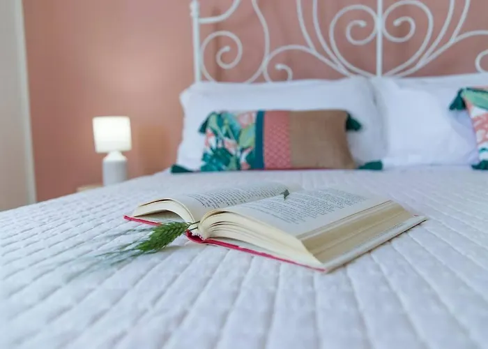 Leccino Primo Piano By Yohome *