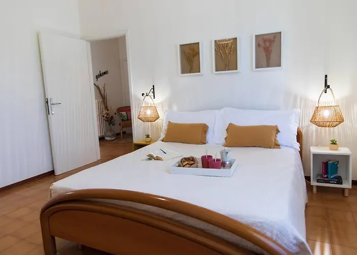 Leccino Primo Piano By Yohome * Fiorenzuola di Focara