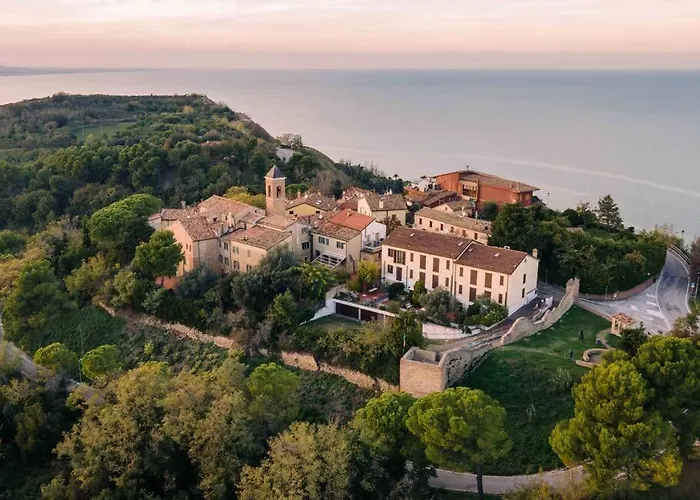 Leccino Primo Piano By Yohome Fiorenzuola di Focara