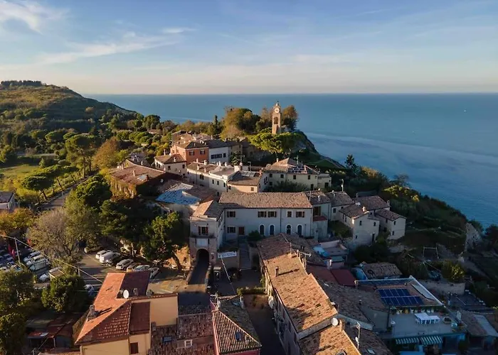 Leccino Primo Piano By Yohome * Fiorenzuola di Focara