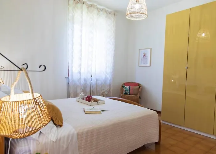 Leccino Primo Piano By Yohome * Fiorenzuola di Focara