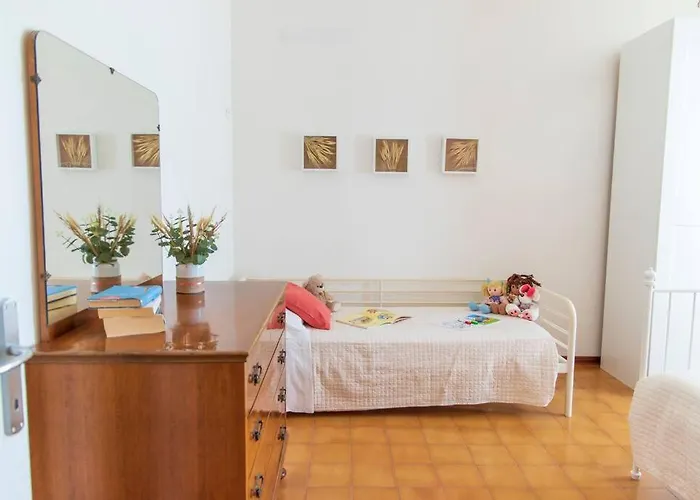 Leccino Primo Piano By Yohome *